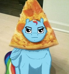 Size: 905x965 | Tagged: safe, artist:umgaris, character:rainbow dash, species:pegasus, species:pony, breading, female, folded wings, food, looking at you, mare, meat, pepperoni, pepperoni pizza, pizza, sitting, solo, unamused, wat, wings