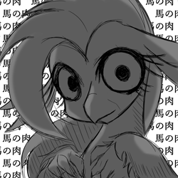 Size: 5000x5000 | Tagged: safe, artist:zemlya, character:silverstream, species:hippogriff, bust, creepy, creepypasta, creepystream, dark, disturbed, disturbing, female, grayscale, horror, implied cannibalism, japan, japanese, looking at you, monochrome, nightmare, nightmare fuel, scary, simple background, solo, terror, translation request, white background, yandere, yanderestream