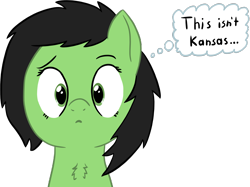 Size: 2802x2100 | Tagged: safe, artist:craftycirclepony, oc, oc only, oc:filly anon, species:pony, bust, chest fluff, confused, cute, female, filly, frown, kansas, looking at you, shrunken pupils, simple background, solo, the wizard of oz, thought bubble, transparent background