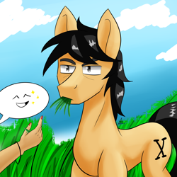Size: 1200x1200 | Tagged: safe, artist:zachc, oc, oc only, species:human, species:pony, cloud, eating, feeding, grass, grazing, hand, herbivore, horses doing horse things, sky