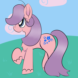 Size: 1000x1000 | Tagged: safe, artist:souldew, character:morning glory, species:pony, g2, g2 to g4, generation leap, unshorn fetlocks