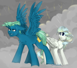 Size: 3000x2677 | Tagged: safe, artist:mediasmile666, character:sky stinger, character:vapor trail, species:pegasus, species:pony, g4, absurd resolution, chest fluff, cloud, crying, cutie mark, duo, female, floppy ears, lightning, male, mare, protecting, rain, sidemouth, spread wings, stallion, storm, wings