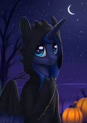 Size: 2894x4093 | Tagged: safe, artist:koshakevich, character:princess luna, species:alicorn, species:pony, clothing, costume, crescent moon, cute, female, halloween, holiday, how to train your dragon, kigurumi, lunabetes, mare, moon, night, pumpkin, sky, solo, stars, toothless the dragon