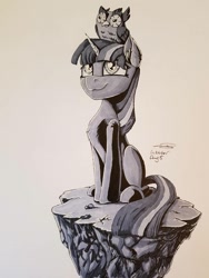 Size: 774x1032 | Tagged: safe, artist:sigilponies, character:owlowiscious, character:twilight sparkle, character:twilight sparkle (unicorn), species:pony, species:unicorn, inktober, chest fluff, ear fluff, inktober 2019, traditional art