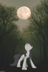Size: 500x750 | Tagged: safe, artist:muffinsforever, edit, character:octavia melody, species:wolf, background edit, cutie mark, female, fog, forest, full moon, hengstwolf, howling, moon, solo, species swap, tree, weretavia, werewolf, wolf pony, wolfified, wolftavia