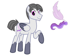 Size: 4500x3375 | Tagged: safe, artist:avatarmicheru, base used, oc, oc:plume, species:pegasus, species:pony, male, raised hoof, simple background, solo, stallion, transparent background, two toned wings, wings