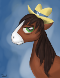Size: 1985x2558 | Tagged: safe, artist:ratann, character:trouble shoes, species:earth pony, species:pony, bust, clothing, hat, male, profile, solo, stallion