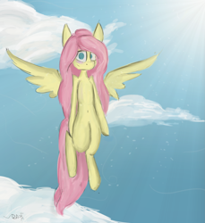 Size: 2345x2557 | Tagged: safe, artist:ratann, character:fluttershy, species:pegasus, species:pony, blank stare, cloud, female, flying, no pupils, solo