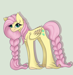 Size: 1200x1228 | Tagged: safe, artist:brendalobinha, character:fluttershy, species:pegasus, species:pony, braid, braided tail, cute, ear fluff, female, gray background, headcanon in the description, looking at you, mare, shy, shyabetes, simple background, solo, unshorn fetlocks
