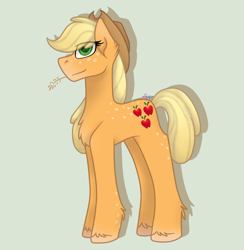 Size: 1200x1228 | Tagged: safe, artist:brendalobinha, character:applejack, species:earth pony, species:pony, applejack's hat, chest fluff, clothing, cowboy hat, ear fluff, female, food, freckles, gray background, hat, looking at you, mare, simple background, solo, unshorn fetlocks, wheat