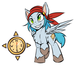 Size: 1000x900 | Tagged: safe, artist:lostdreamm, oc, oc only, oc:north compass, species:pegasus, species:pony, bandana, chest fluff, compass, cutie mark, female, mare, raised hoof, reference sheet, simple background, solo, transparent background, wings