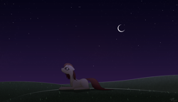 Size: 7000x4000 | Tagged: safe, artist:those kids in the corner, oc, oc:dried petals, species:earth pony, species:pony, absurd resolution, female, field, looking up, mare, moon, night, sad, solo, stars