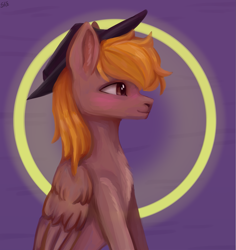 Size: 1625x1725 | Tagged: safe, artist:ske, oc, oc only, oc:calamity, species:pegasus, species:pony, fallout equestria, blushing, clothing, cowboy hat, dashite, fanfic, fanfic art, hat, male, profile, sitting, stallion, wings
