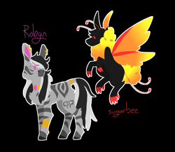 Size: 1500x1300 | Tagged: safe, artist:lepiswerid, oc, oc only, oc:robyn, oc:sugarbee, species:changeling, species:reformed changeling, species:zebra, annoyed, black background, changeling oc, ear piercing, earring, faded, fluffy, flying, jewelry, oc x oc, piercing, pink eyes, red eyes, shipping, simple background, story included, stripes, zebra oc