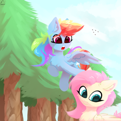 Size: 1500x1500 | Tagged: safe, artist:glazirka, character:fluttershy, character:rainbow dash, species:pegasus, species:pony, chest fluff, cute, dashabetes, duo, female, fluffy, flying, glazirka is trying to murder us, mare, shyabetes, tree, wings
