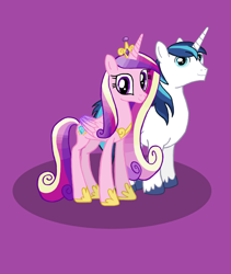 Size: 2792x3304 | Tagged: safe, artist:cybertronianbrony, character:princess cadance, character:shining armor, species:alicorn, species:pony, species:unicorn, cute, cutedance, shining adorable