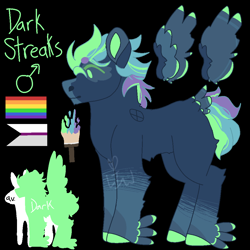 Size: 1000x1000 | Tagged: safe, artist:lepiswerid, oc, oc only, oc:dark streaks, parent:rainbow dash, parent:soarin', parents:soarindash, species:pegasus, species:pony, marsverse, black background, colored hooves, colored wings, cutie mark, demisexual, demisexual pride flag, feathered fetlocks, height difference, male, offspring, pride, pride flag, reference, reference sheet, simple background, solo, stallion, tail feathers, text, winged hooves, wings