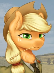 Size: 1024x1379 | Tagged: safe, alternate version, artist:dukevonkessel, character:applejack, species:earth pony, species:pony, equestria at war mod, bust, clothing, detailed background, female, green eyes, hat, military uniform, portrait, smiling, solo, straw in mouth, uniform