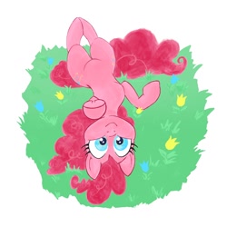 Size: 1024x1024 | Tagged: safe, artist:pfeffaroo, character:pinkie pie, species:earth pony, species:pony, cute, diapinkes, female, flower, looking at you, mare, on back, pointing, solo, underhoof, upside down