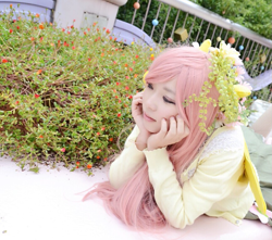 Size: 867x767 | Tagged: safe, artist:rai_ra, character:fluttershy, species:human, clothing, cosplay, costume, irl, irl human, japanese, photo, pony ears, wings