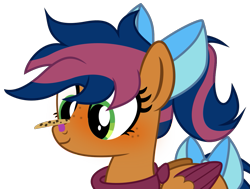 Size: 1131x854 | Tagged: safe, artist:steam-loco, oc, oc:solar comet, species:pegasus, species:pony, g4, bandaid, bow, cookie, cute, food, male, messy mane, pegasus oc, show accurate, simple background, solo, tail bow, transparent background, two toned mane, two toned tail, two toned wings, vector, wings
