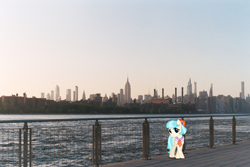 Size: 3001x1999 | Tagged: safe, artist:itv-canterlot, artist:nate issac, editor:jaredking203, character:coco pommel, species:earth pony, species:pony, g4, bridge, female, irl, mare, new york, new york city, photo, ponies in real life, railing, solo