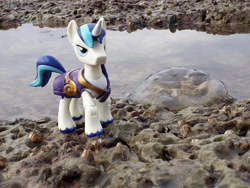 Size: 4128x3096 | Tagged: safe, artist:dingopatagonico, character:shining armor, species:pony, g4, beach, guardians of harmony, irl, jellyfish, photo, solo, toy