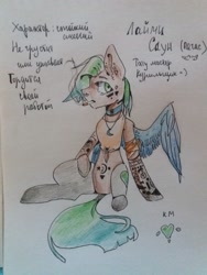 Size: 1620x2160 | Tagged: safe, artist:ellis_sunset, oc, oc only, species:pegasus, species:pony, g4, choker, cigarette, cyrillic, one wing out, pegasus oc, reference sheet, sitting, smoking, solo, tattoo, traditional art, wings