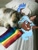 Size: 810x1080 | Tagged: safe, artist:ellis_sunset, oc, oc only, species:alicorn, species:pony, g4, alicorn oc, bandaid, bed, cat, female, freckles, gay pride flag, heterochromia, horn, irl, mare, photo, pillow, pride, pride flag, two toned wings, wings