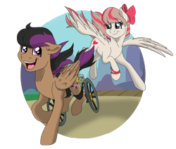 Size: 9501x8061 | Tagged: safe, artist:faitheverlasting, character:angel wings, character:stellar eclipse, species:pegasus, species:pony, episode:top bolt, episode:trade ya, g4, my little pony: friendship is magic, absurd resolution, duo, female, flying, grin, make a wish, make a wish foundation, male, mare, open mouth, redraw, running, simple background, smiling, spread wings, stallion, transparent background, unshorn fetlocks, wheelchair, wings