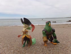 Size: 2304x1728 | Tagged: safe, artist:dingopatagonico, character:boyle, character:captain celaeno, g4, my little pony: the movie (2017), beach, irl, parrot pirates, photo, pirate, toy