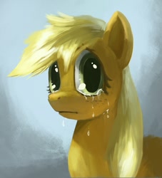 Size: 979x1080 | Tagged: safe, artist:paladin, character:applejack, crying, female, looking at you, portrait, solo