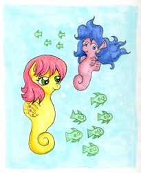 Size: 800x974 | Tagged: safe, artist:kaikaku, character:wavedancer, species:sea pony, g1, fish, high tide