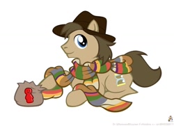 Size: 900x652 | Tagged: safe, artist:raygirl, character:doctor whooves, character:time turner, male, solo