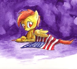 Size: 1201x1077 | Tagged: safe, artist:matugi, character:spitfire, american flag, female, flag, solo, traditional art, united states, watercolor painting