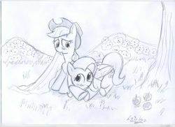 Size: 3509x2550 | Tagged: safe, artist:vd-dv, character:applejack, character:fluttershy, ship:appleshy, female, high res, lesbian, monochrome, shipping