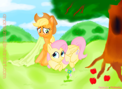 Size: 900x654 | Tagged: safe, artist:anorelle, artist:vd-dv, character:applejack, character:fluttershy, ship:appleshy, blanket, colored, female, field, lesbian, shipping