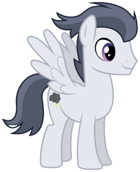 Size: 570x702 | Tagged: safe, artist:rainbowderp98, character:rumble, species:pony, adult, male, older, simple background, solo, stallion, svg, transparent background, vector