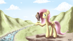 Size: 1280x720 | Tagged: safe, artist:datponypl, character:fluttershy, species:bird, species:pegasus, species:pony, animal, duo, falcon, peregrine falcon, river, scenery, stream, valley