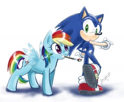 Size: 2119x1746 | Tagged: safe, artist:chibi-jen-hen, character:rainbow dash, character:sonic the hedgehog, crossover, cutie mark, mouth hold, paint, paint on fur, paintbrush, sonic the hedgehog (series)