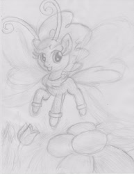 Size: 2550x3296 | Tagged: safe, artist:bigrinth, character:seabreeze, species:breezies, episode:it ain't easy being breezies, g4, my little pony: friendship is magic, flower, male, monochrome, solo