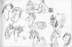 Size: 900x585 | Tagged: safe, artist:ackryllis, character:carrot top, character:fizzy, character:flash sentry, character:galaxy (g1), character:golden harvest, character:king sombra, character:twilight sparkle, character:twilight sparkle (alicorn), character:written script, oc, oc:gentle breeze, oc:whistleheart, species:alicorn, species:earth pony, species:pegasus, species:pony, species:unicorn, ship:flashlight, ship:goldenscript, g1, armor, female, hopscotch, love melody, male, mare, monochrome, oc x oc, shipping, sproing, stallion, straight, traditional art, wingboner