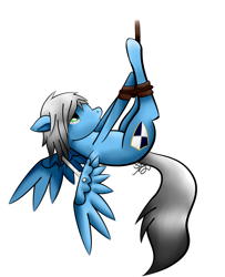 Size: 1923x2366 | Tagged: safe, artist:starshinefox, oc, oc only, oc:silent shield, bondage, bound wings, female, hogtied, rope, solo, spreader bar, suspended, upside down