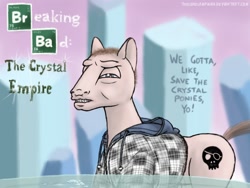 Size: 800x600 | Tagged: safe, artist:thelonelampman, breaking bad, drugs, jesse pinkman, meth, ponified