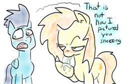 Size: 1440x972 | Tagged: safe, artist:rainysunshine, character:soarin', character:spitfire, ship:soarinfire, blushing, female, gross, male, please op no more, shipping, sneezing, sneezing fetish, snot, straight, why, wonderbolts