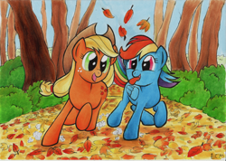 Size: 2000x1420 | Tagged: safe, artist:ecmonkey, character:applejack, character:rainbow dash, episode:fall weather friends, g4, my little pony: friendship is magic, running of the leaves, traditional art