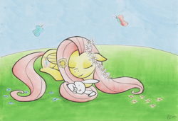 Size: 2000x1368 | Tagged: safe, artist:ecmonkey, character:angel bunny, character:fluttershy, butterfly, floral head wreath, flower in hair, peaceful, sleeping, traditional art