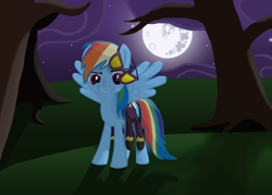 Size: 3500x2500 | Tagged: safe, artist:morevespenegas, character:rainbow dash, species:pegasus, species:pony, clothing, costume, female, high res, mare, mare in the moon, moon, night, shadowbolt dash, shadowbolts, shadowbolts costume, spread wings, tree, wings