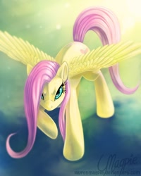 Size: 800x1000 | Tagged: safe, artist:laurenmagpie, character:fluttershy, species:pegasus, species:pony, badass, determined, female, flutterbadass, mare, solo, spread wings, wings