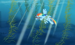 Size: 1500x909 | Tagged: safe, artist:lunarapologist, character:rainbow dash, species:pegasus, species:pony, crepuscular rays, female, goggles, kelp, kelp forest, mare, solo, swimming, underhoof, underwater